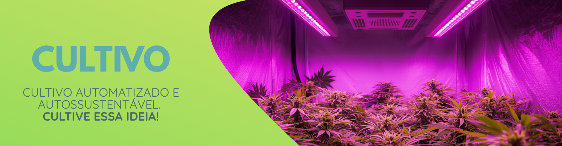 Banner Full Categoria Cultivo