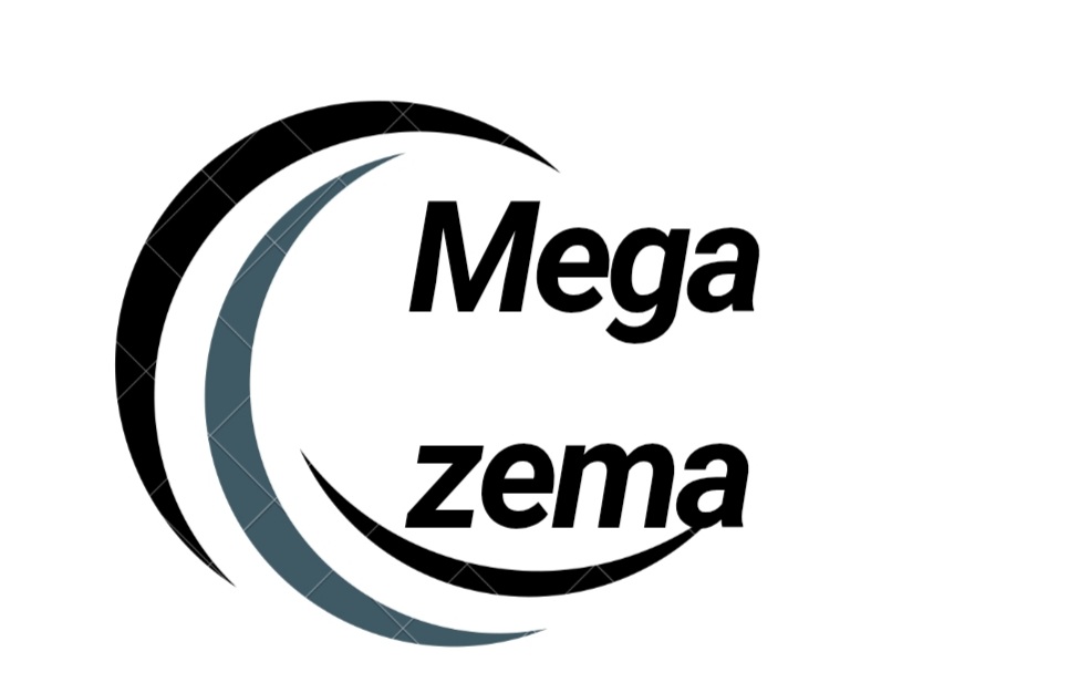 Mega Zems