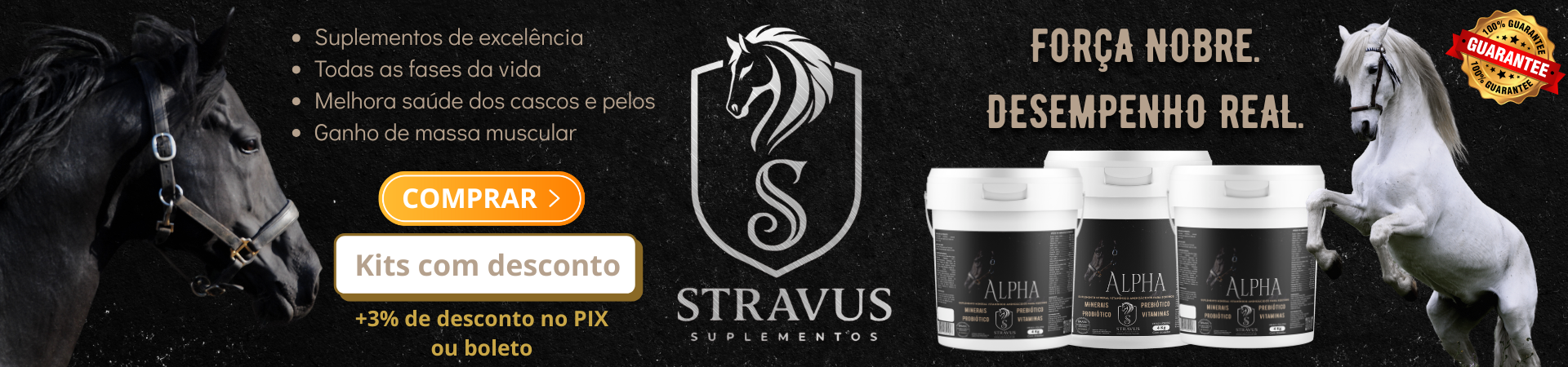 Full Banner Principal