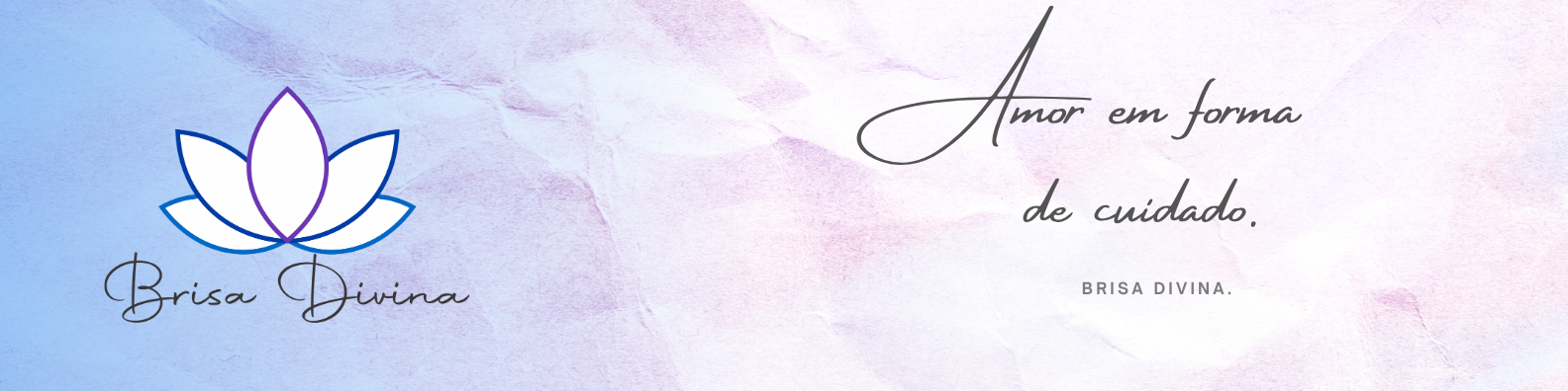 full banner logo brisa