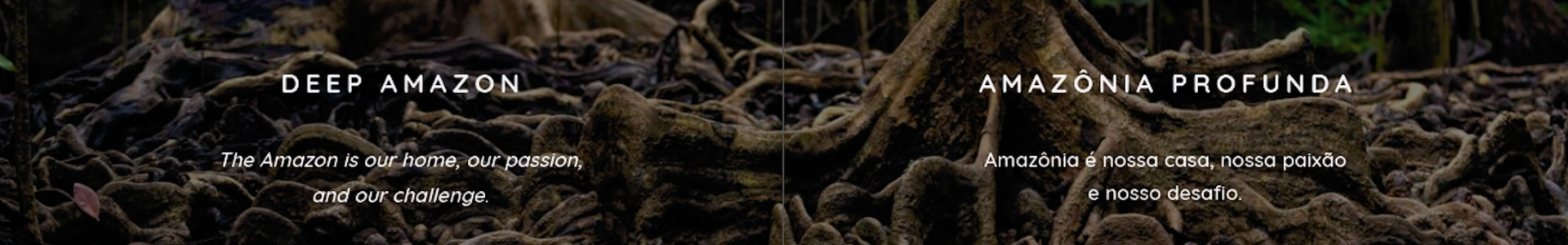 Uma semente em transformação / Art, Ecology, Essence & Culture
