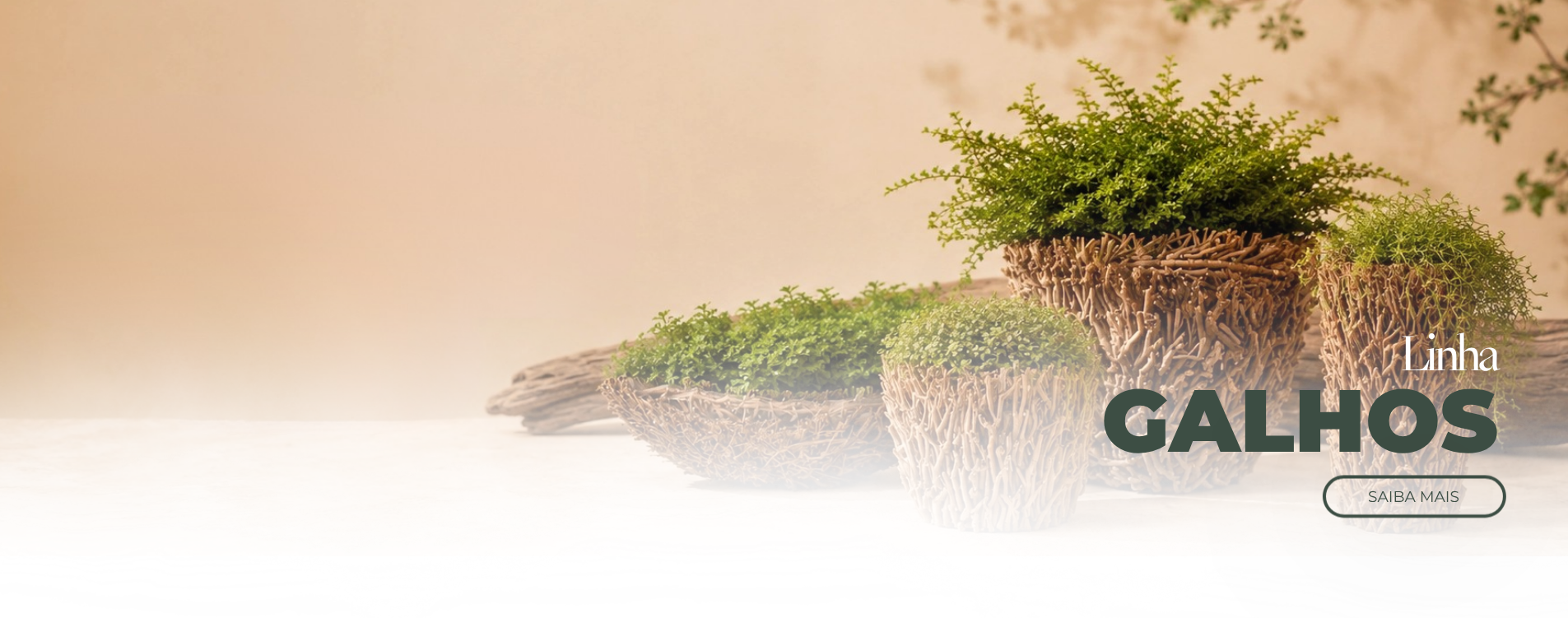 Banner Linha Vaso de Galhos