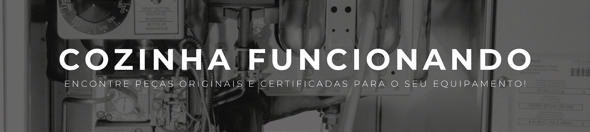 PEÇAS DE REPOSIÇÃO