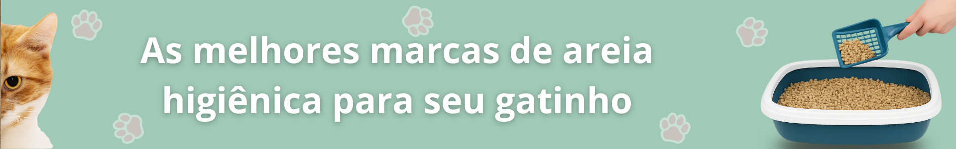 Areia Gato
