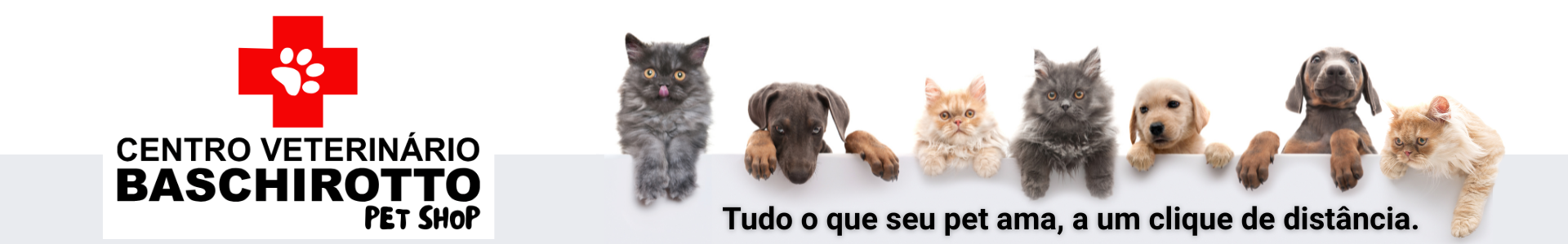 Banner Tudo o que