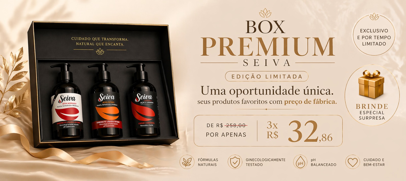 Box Seiva