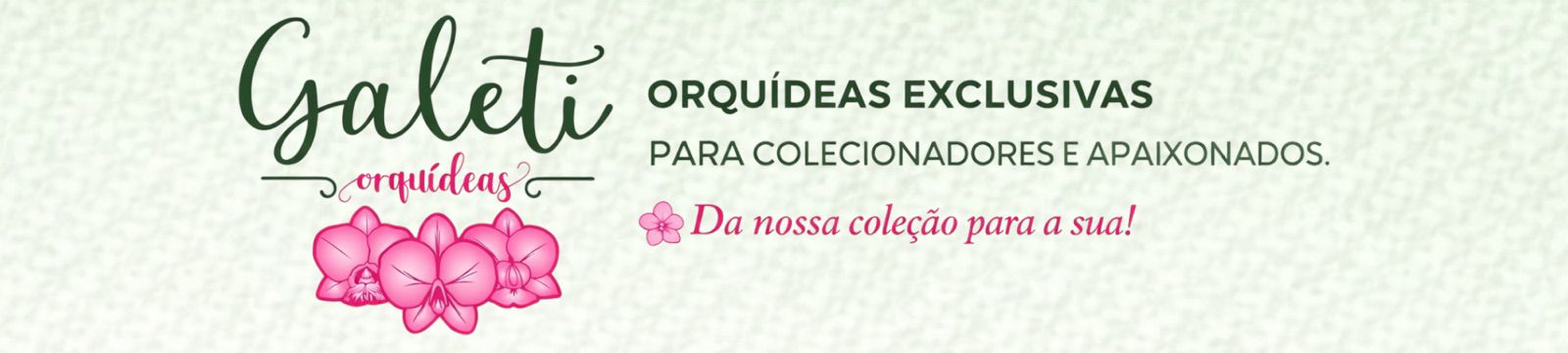 fundo verde quadriculado