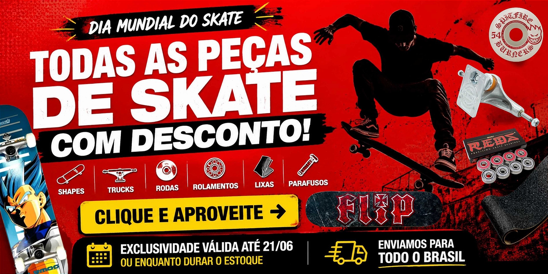 dia do skate