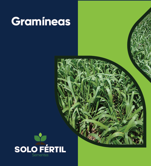 Full Banner 1 @Mobile