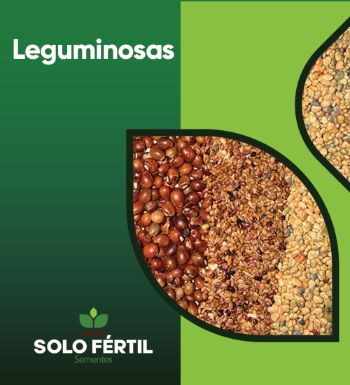 Full Banner 2 @Mobile