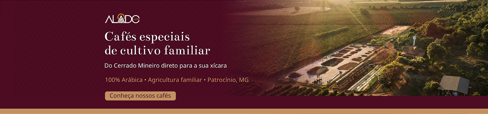 Cafés especiais de cultivo familiar