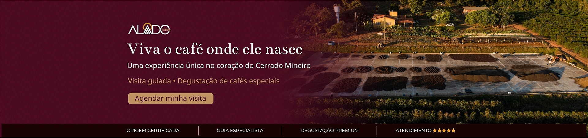 Viva o café onde ele nasce