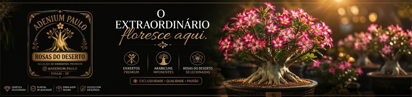 Full Banner