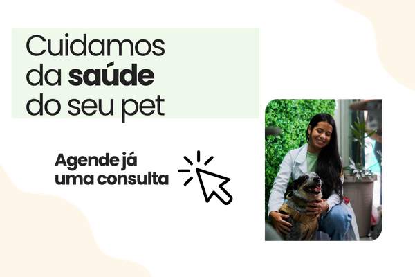 consulta