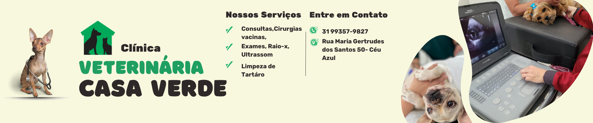 veterinaria