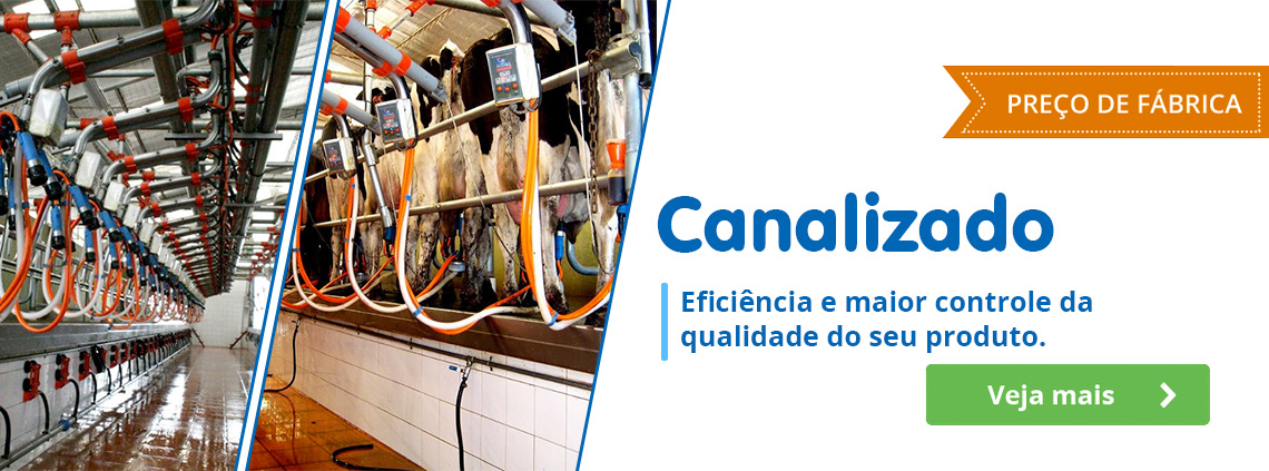 Canalizado
