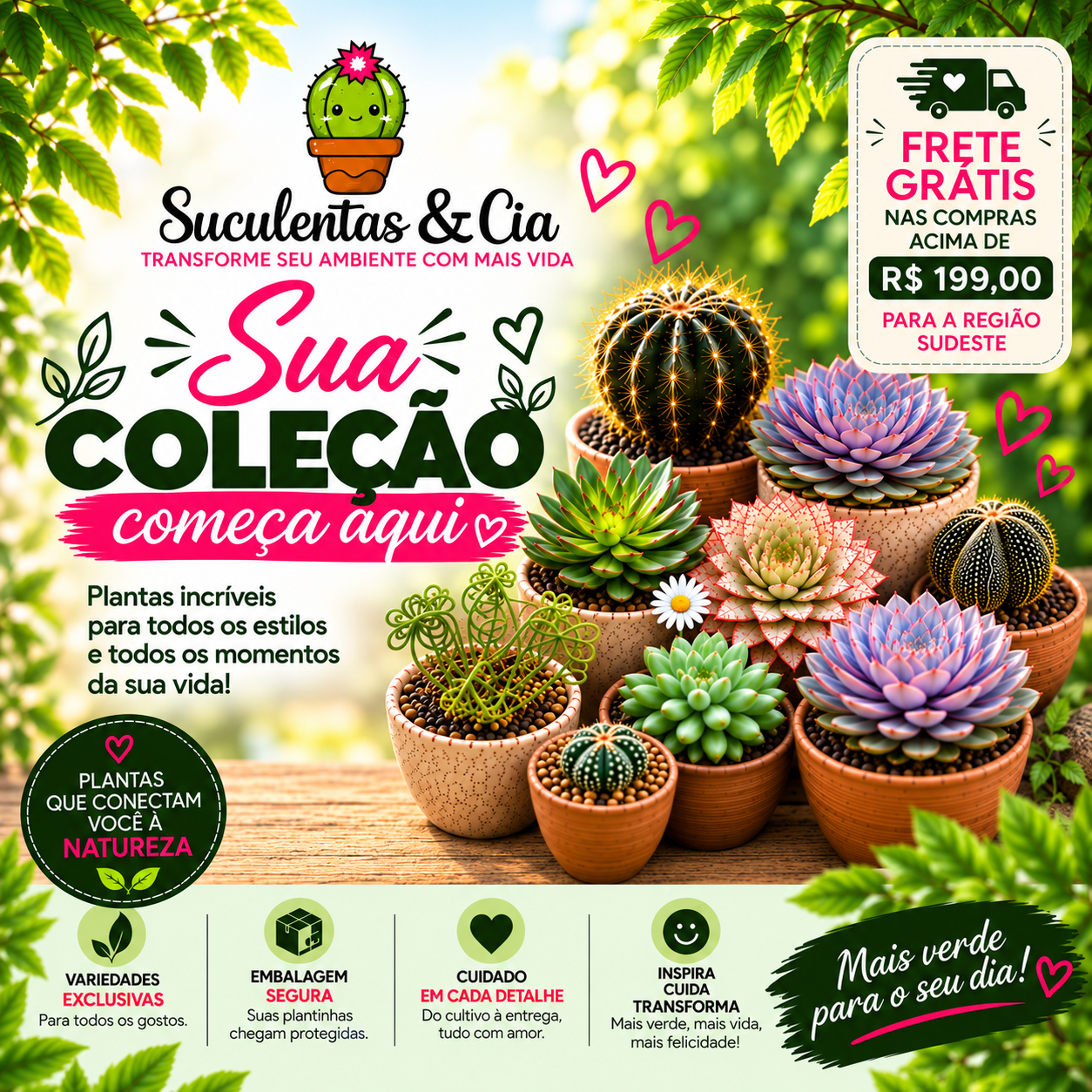 Sua Coleção começa aqui