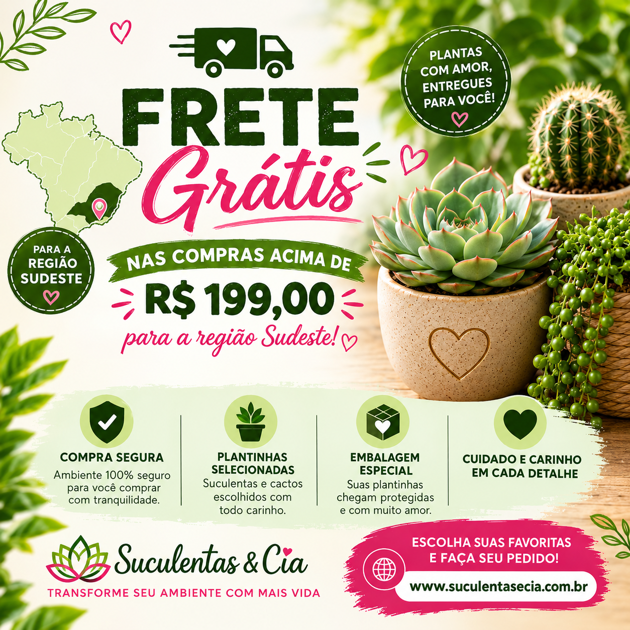 Frete Grátis para Suculentas e Cactos Regiao Sudeste