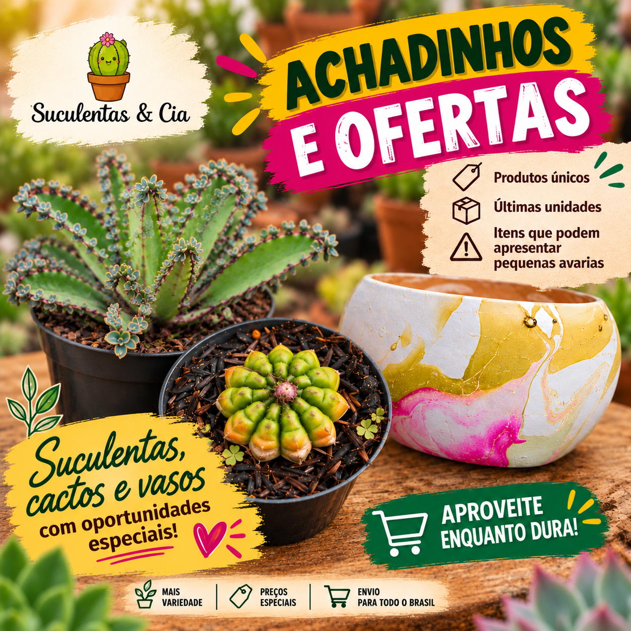 Achadinhos e ofertas