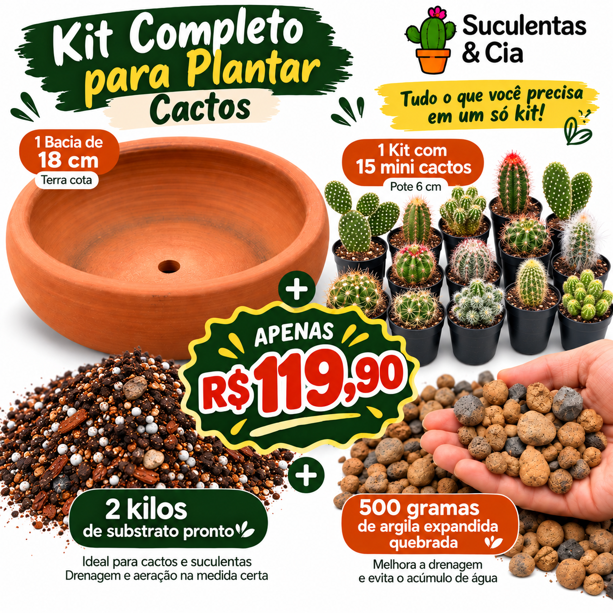 Kit Vaso + Cactos+substrato + argila