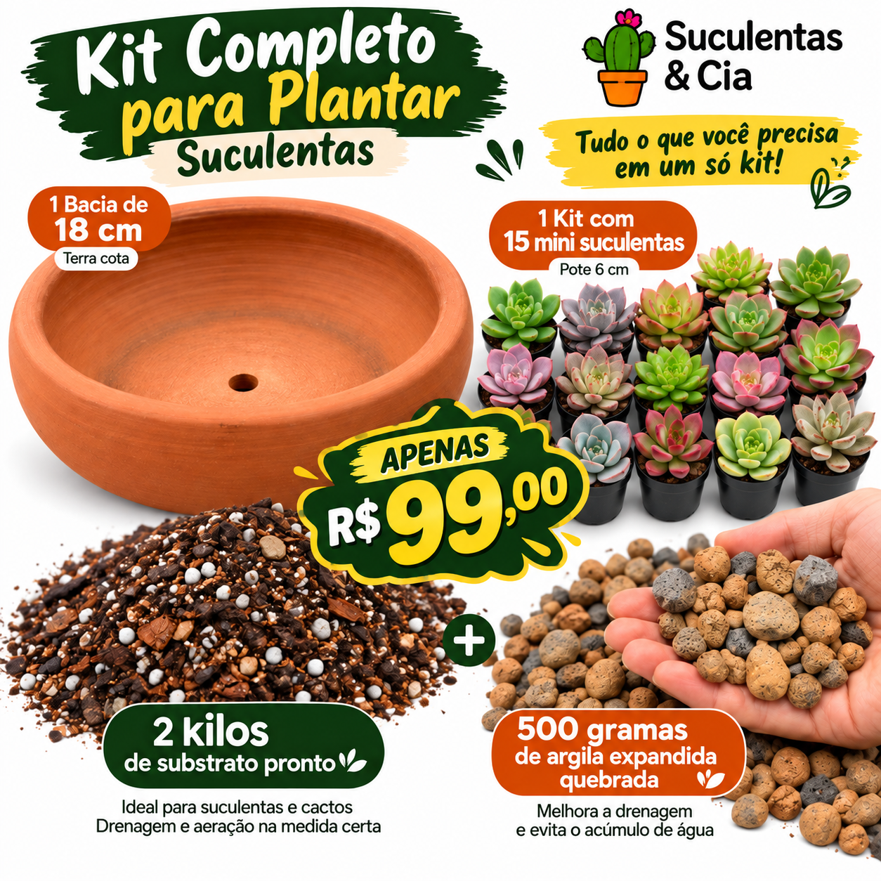 Kit Suculentas + vaso+substrato + argila
