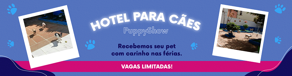 Hotel para Cães em Porto Alegre