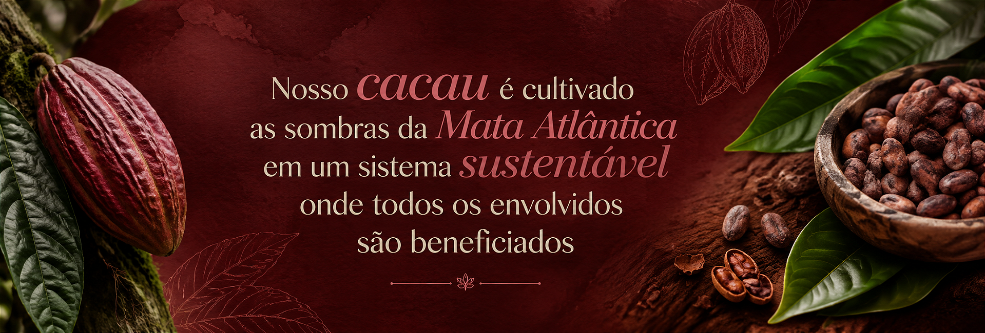 Bem-vindo