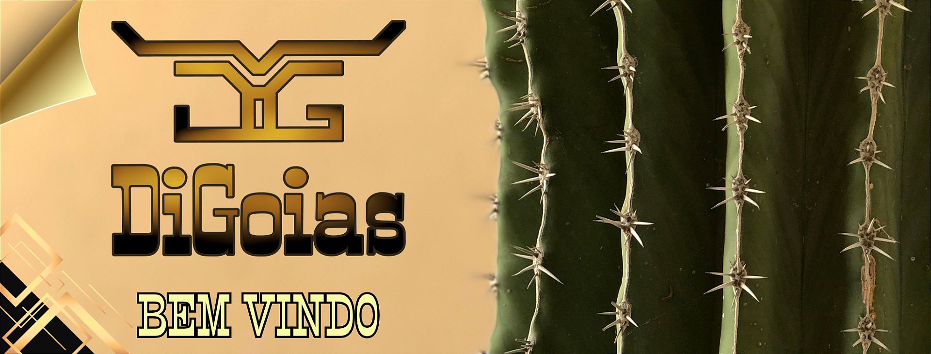 Entrada