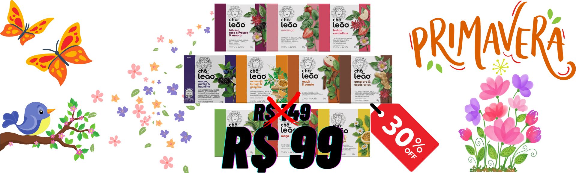 Kit Leão 10