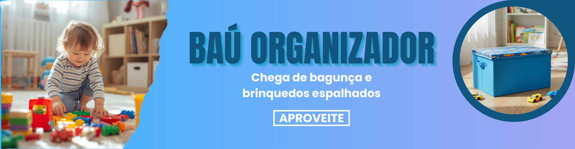 Bau Organizador