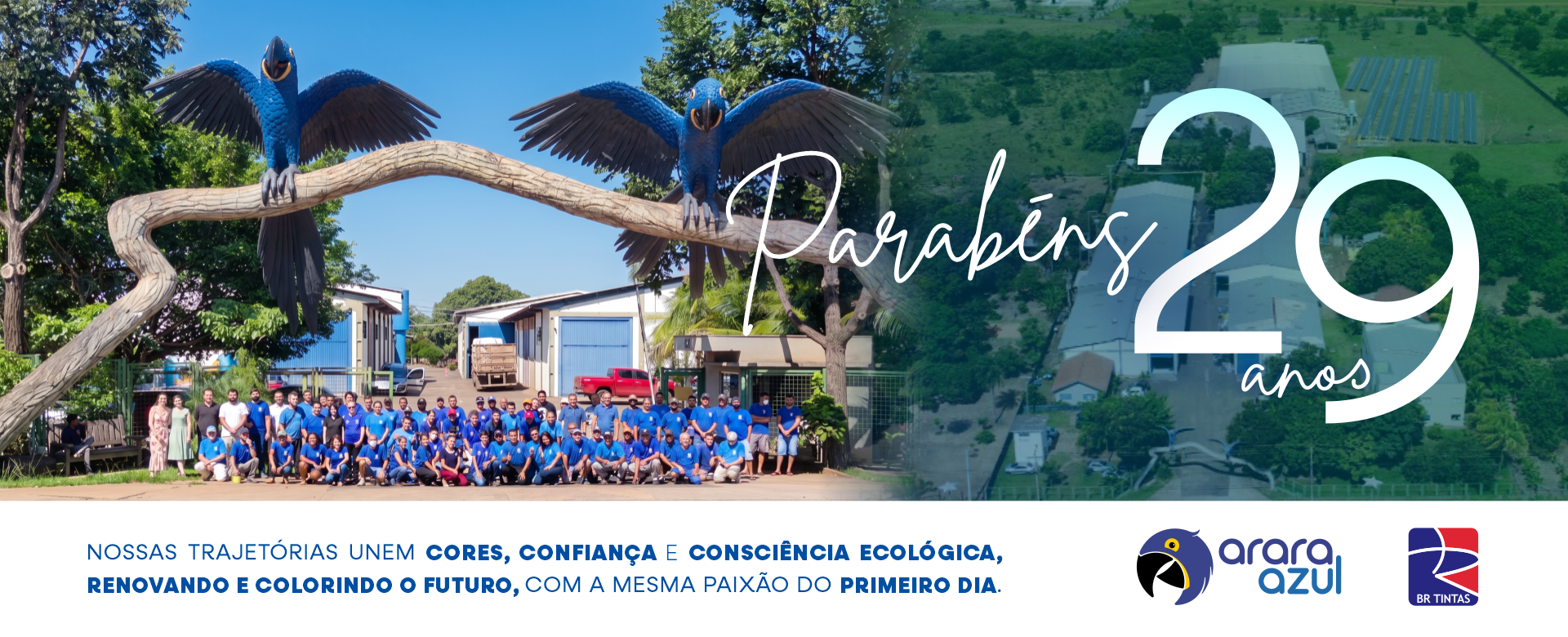 Arara-Azul_BR-Tintas-29-anos