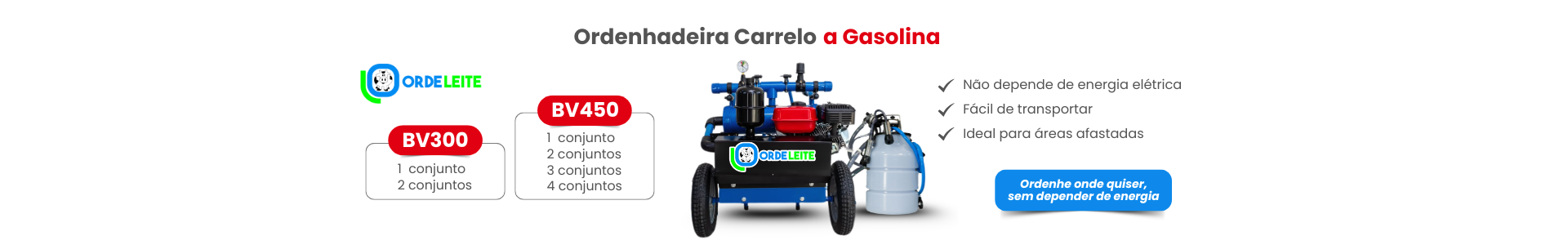 CARRELO A GASOLINA