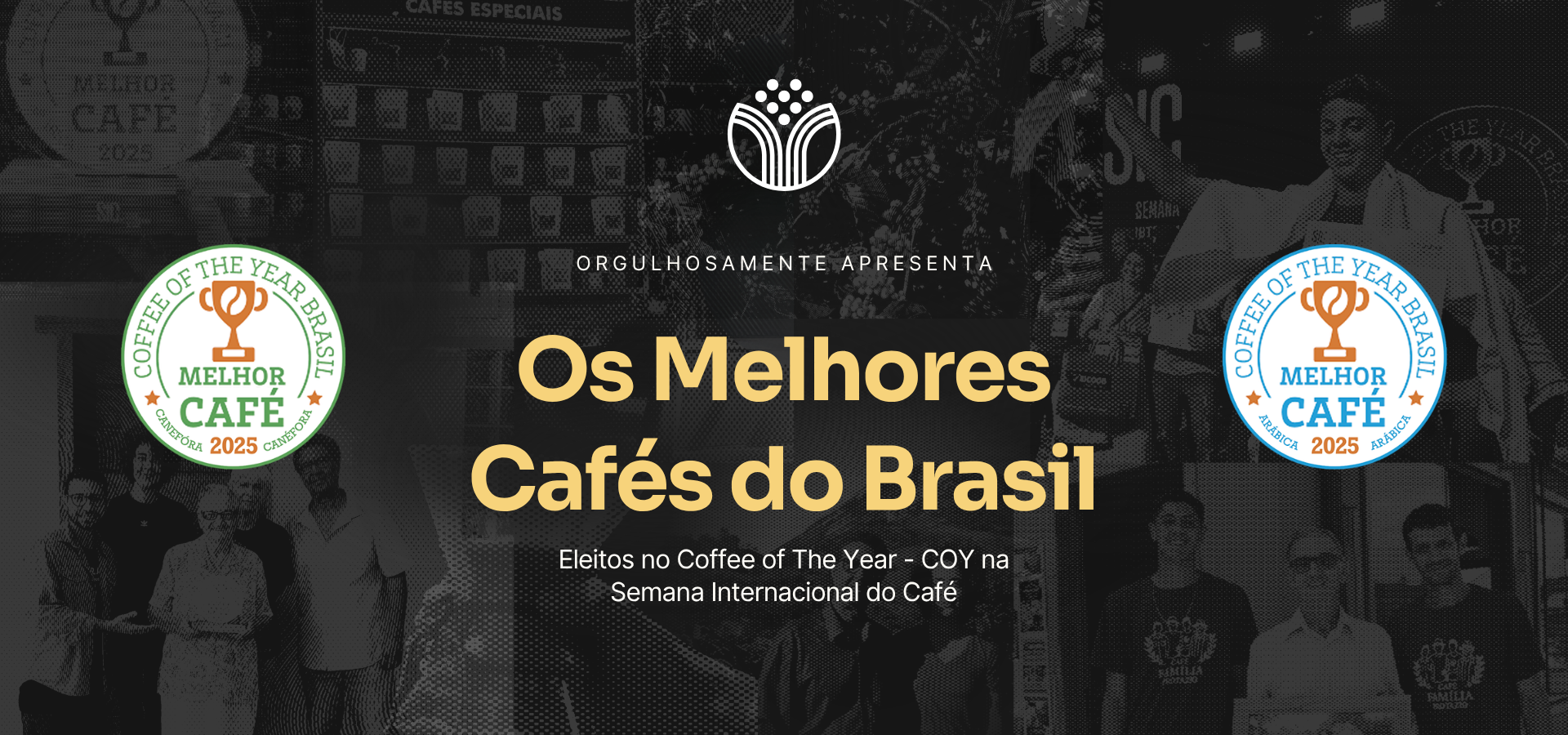 Novo Campeão