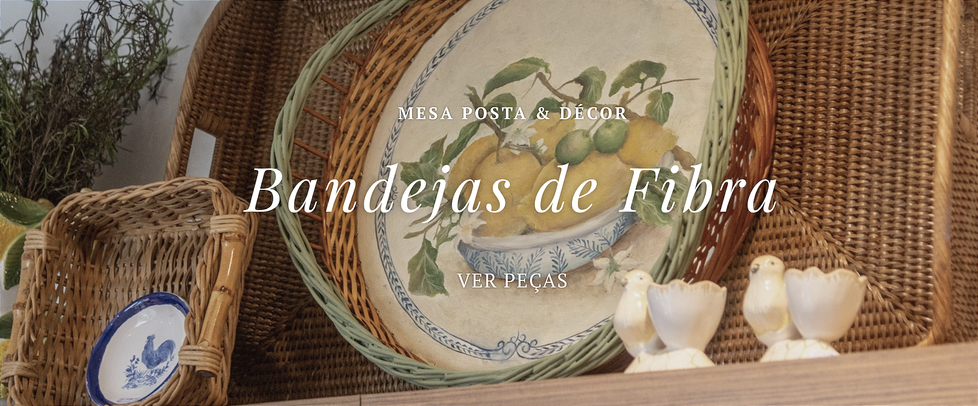 BANDEJAS FIBRA