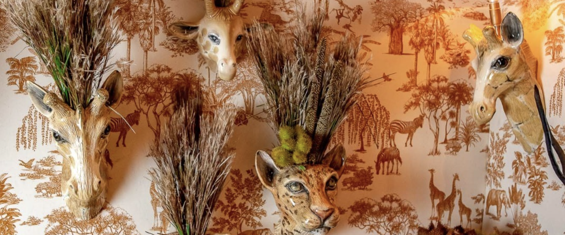 CAT SELVA