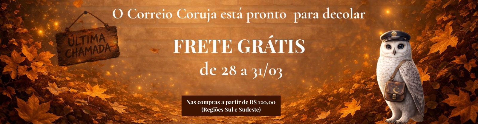 Frete gratis