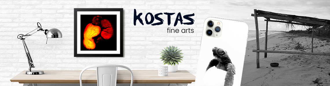 Decore sua vida com os Kostas