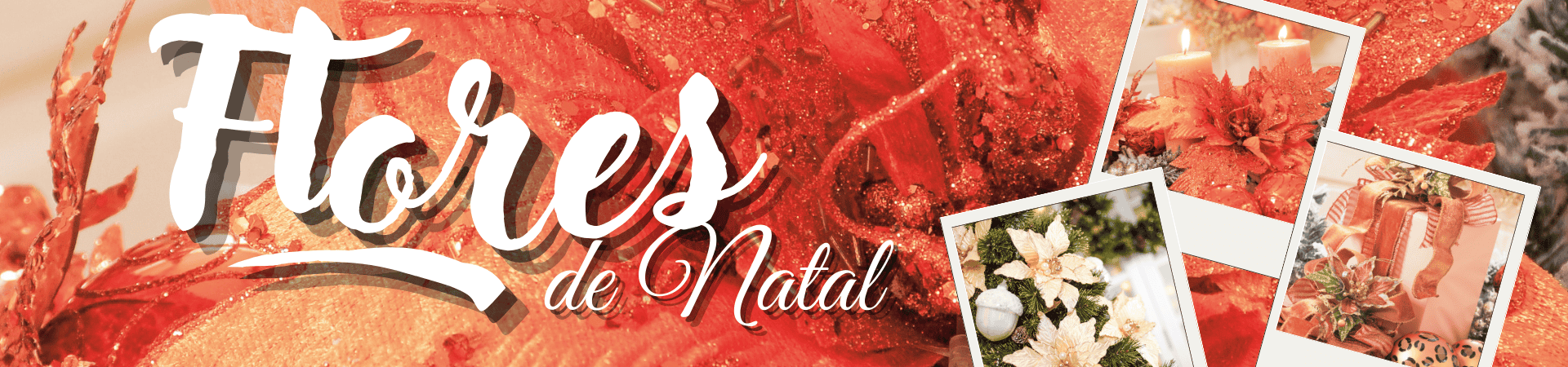 Flores de Natal