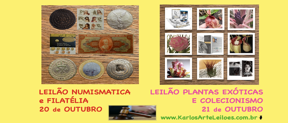 Leilao01