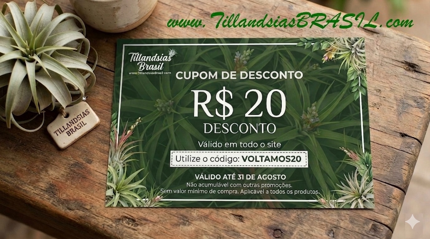 VOLTAMOS20