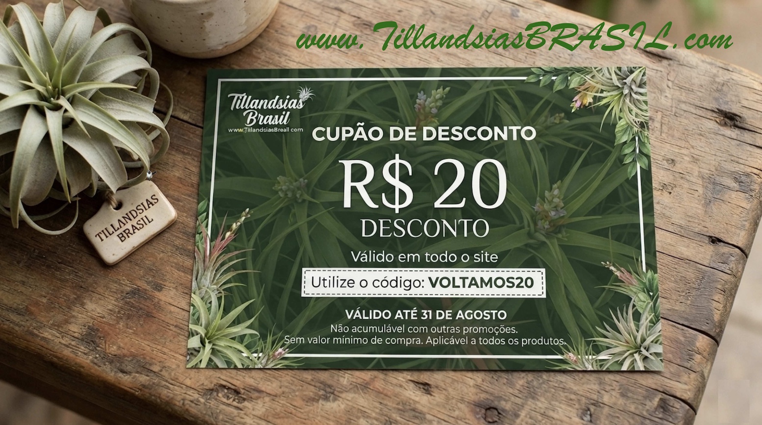 VOLTAMOS20