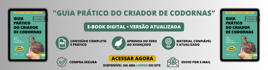 Banner E-book C-PBS - 02
