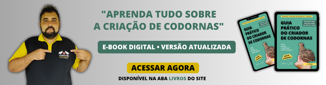 Banner E-book C-PBS - 01