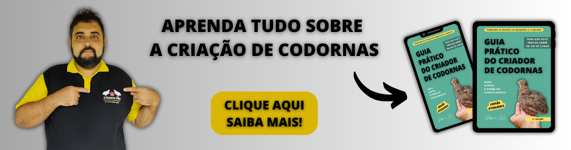 Banner livro digital - 01