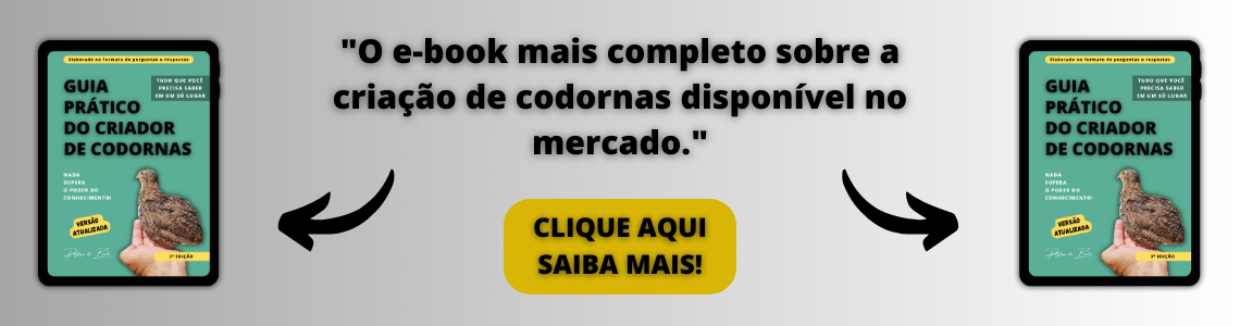 Banner livro digital - 02