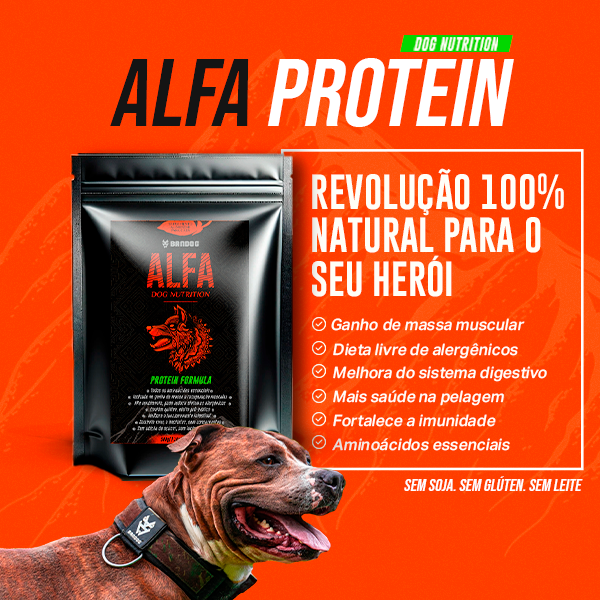 04 - Alfa Protein mobile