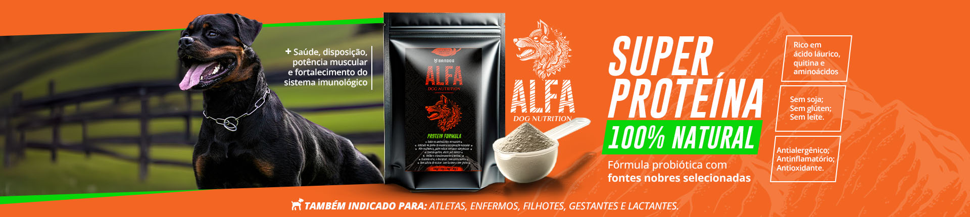 alfa proteina para cachorro - Musculo, pelo e derme