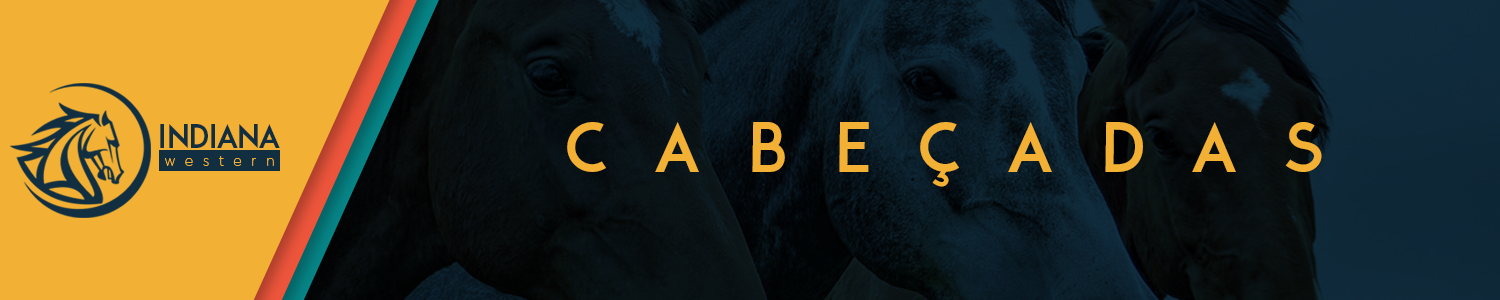 cabeçada