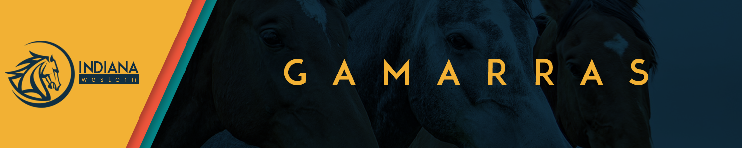 gamarra