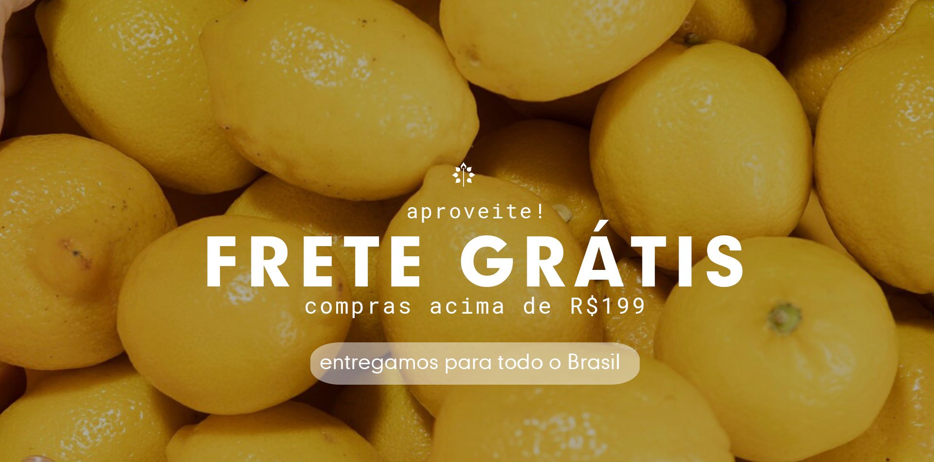 Frete Gratis